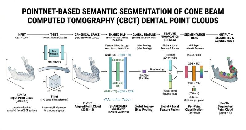 PointNet-based segmentation of CBCT dental point clouds